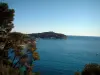Landschappen van de kust van de Côte d'Azur - Cap Ferrat en de zee