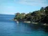 Landschappen van de kust van de Côte d'Azur - Cap met turquoise zee, dennenbossen en kleine boot