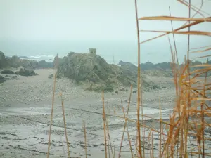 Landschappen van de kust van de Loire-Atlantique - Wild Coast: riet op de voorgrond, rotsen en de zee (Atlantische Oceaan)