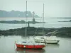 Landschappen van de kust van de Loire-Atlantique - Boten (zeilboten), zeewier, rotsen, zee (Atlantische Oceaan), het strand en bomen op de achtergrond