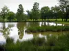 Landschappen van de Limousin - Bomen buurt van een vijver in Neder-Walk