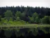 Landschappen van de Limousin - Bomen weerspiegeld in het water van een vijver