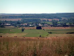 Landschappen van Lotharingen - Velden met balen stro, huizen, bomen en bossen