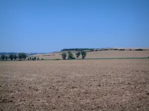 Landschappen van Lotharingen - Veld van de Aarde, bomen en hooibalen op de achtergrond