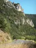 Landschappen van de Lozère - Gorges de la Jonte: kliffen met uitzicht op de kloof weg, in het Parc National des Cevennes