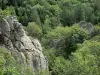 Landschappen van de Lozère - Gorges Tapoul - Parc National des Cevennes: rotsen omgeven door bomen