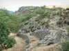 Landschappen van de Lozère - Parc National des Cevennes: droge stenen muren, rotsen en vegetatie