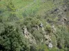 Landschappen van de Lozère - Cevennes bergen: rotsen omgeven door veel groen