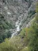 Landschappen van de Lozère - Gorges van Altier - Massif des Cevennes rivier Altier, rotswanden en bomen