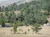 Landschappen van de Lozère - Causse Mejean - Parc National des Cevennes: weilanden en bomen