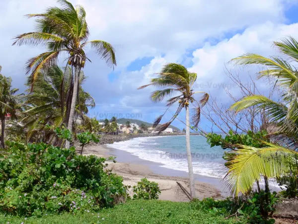 Landschappen van Martinique - Met uitzicht op de waterkant van St. Mary en de Atlantische Oceaan, met kokospalmen op de voorgrond