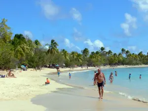 Landschappen van Martinique - Strand van Grande Anse des Salines met zijn fijne zand, palmbomen en turquoise zee; in de gemeente Sainte-Anne