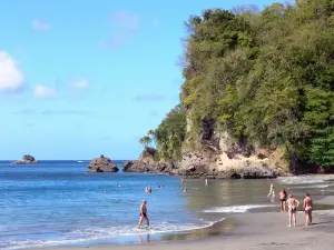 Landschappen van Martinique - Luieren op het strand van Anse Ceron bij vakantiegangers baden in de kalme wateren van de zee