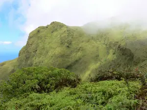 Landschappen van Martinique - Mont Pelée - Regionaal Park van Martinique: groene hellingen van de actieve vulkaan