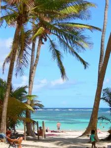 Landschappen van Martinique - Ontspannen onder de palmen van het strand van Anse Michel, met uitzicht op de turquoise wateren van de Atlantische Oceaan; in de gemeente Sainte-Anne, Cap Chevalier