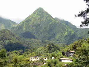 Landschappen van Martinique - Regionaal Park van Martinique: huizen in een weelderig groen aan de voet van de Carbet pieken