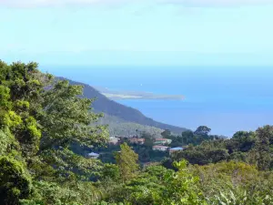 Landschappen van Martinique - Groene kust