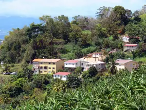 Landschappen van Martinique - Huizen, omgeven door groen