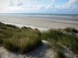 Landschappen van le Nord - Opaalkust: duin beplant met helmgras met uitzicht op het strand van de badplaats Bray-Dunes en de Noordzee