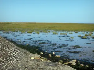 Landschappen van Normandië - Baai van Veys