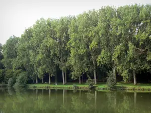 Landschappen van Picardië - Vijver omgeven door bomen, in Peronne