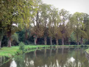 Landschappen van Picardië - Somme kanaal, jaagpad en bomen