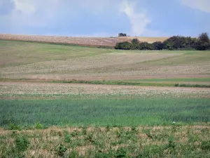 Landschappen van Picardië - Opvolging van de velden