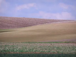 Landschappen van Picardië - Opvolging van de velden