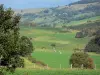 Landschappen van Puy-de-Dôme - Regionale Natuurpark van de Auvergne Vulkanen: grasland (weiland) met golvende kuddes koeien en bomen