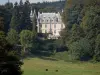 Landschappen van Puy-de-Dôme - Regional Park Livradois: Job kasteel in Renaissance stijl, omgeven door bomen en weiland met twee koeien