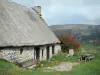 Landschappen van Puy-de-Dôme - Regional Park Livradois: stenen huis met een rieten dak (huisje met rieten dak) met uitzicht op een berg vol met bomen, in de Forez