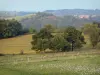Landschappen van Puy-de-Dôme - Weide bloemen, bomen en huizen van een dorp