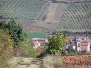 Landschappen van Puy-de-Dôme - Toren van de kerk van Saint-Loup en huizen in het dorp van de sulky, bomen en wijngaarden op de achtergrond