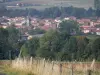 Landschappen van Puy-de-Dôme - Sluiting van een veld, bomen en dorp