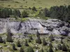 Landschappen van de Pyreneeën - Parc National des Pyrenees: rock omgeven door bomen