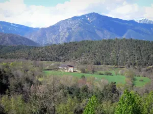 Landschappen van de Pyrénées-Orientales - Huis omgeven door weiden, bossen en bergen