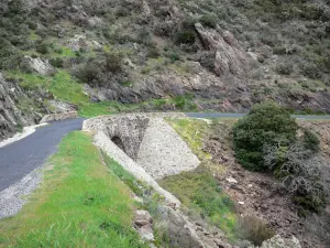 Landschappen van de Pyrénées-Orientales - Bergweg