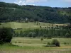 Landschappen van de Quercy - Velden, bomen en hout blijft