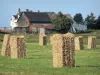 Landschappen van de Sarthe - Balen hooi in een weiland bij een boerderij