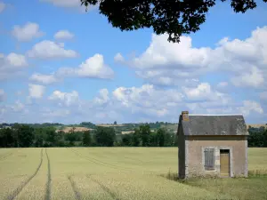Landschappen van de Sarthe - Cabin omgeven door velden