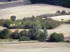 Landschappen van de Tarn-et-Garonne - Bomen op het gebied