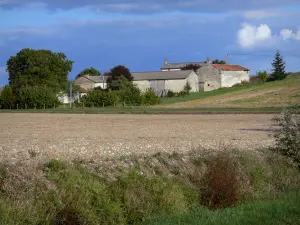 Landschappen van de Vienne - Velden, bomen en boerderij