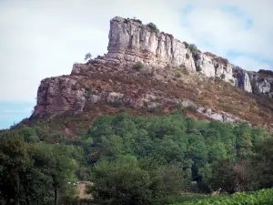 Landschappen van Zuidelijke Bourgondië - Solutre rock (kalksteen helling) en bomen onder