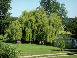 Landsitz Courboyer - Besitz Courboyer: Wasserfläche umgeben von Bäumen; auf der Gemeinde Nocé