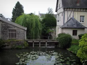 Langeais - River with water lilies, trees and houses of the city