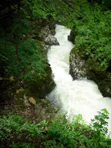 Langouette gorges - Saine river and vegetation