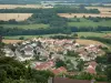 Langres - View of the roofs of the lower town and the surrounding fields from the ramparts of the old town