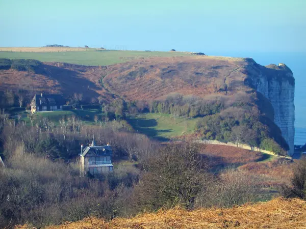 Lanscapes of Normandy - Villas (houses), trees, prairies and cliff of the Alabaster coast