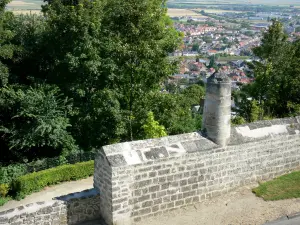 Laon - Depuis la ville haute, vue sur les toits de la ville basse et les arbres