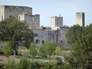 Larressingle - Mantener Castillo-, casas y torres almenadas de la aldea medieval fortificada, los árboles y las vides